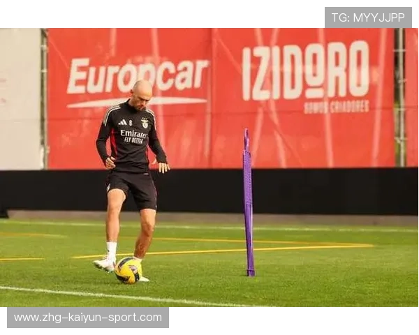 本菲卡巴尔科边路暴突传中助攻精彩不断