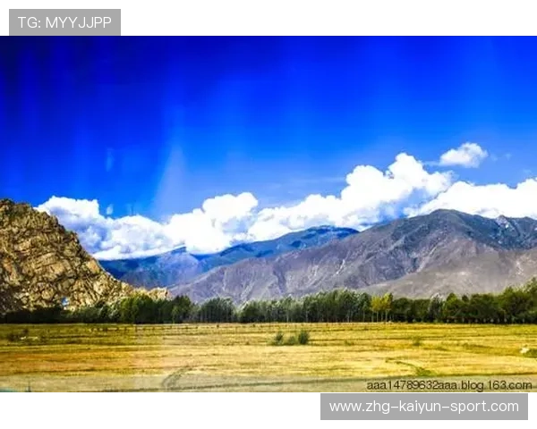 河床未来核心逐渐显现